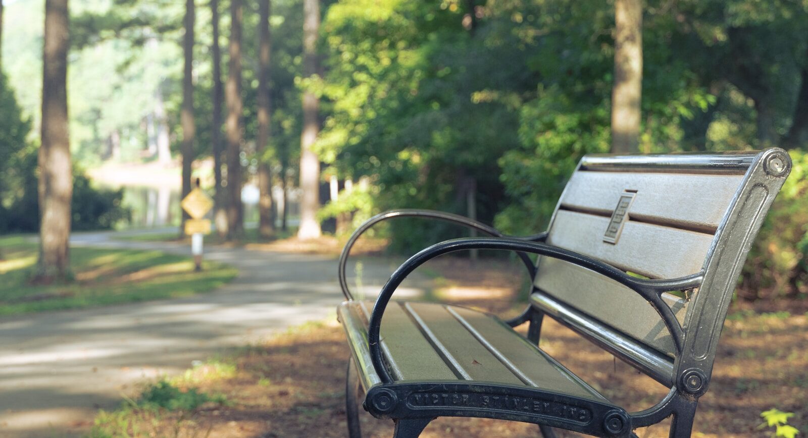 a park bench sitting in the middle of a park